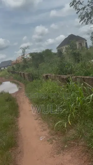 100 by 200ft Land for Sale at Iyanomo Sapele Road