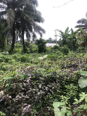 Land for Sell