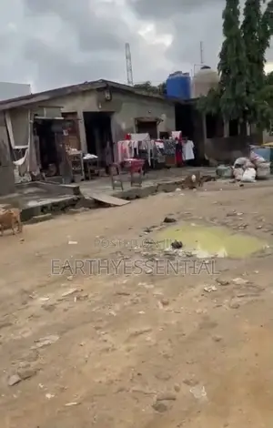 Half Plot of Land