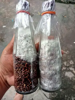 Mushroom Seed/Spawn