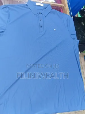 Silk T-Shirts
