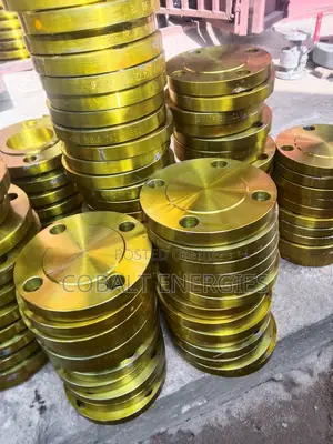 2*150 Blind Flange,6*900 W/N Flange + Other Sizes