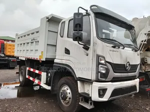 Shacman Sagmoto Dump Truck