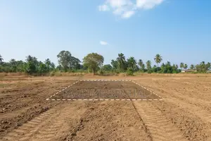Half Plot of Land
