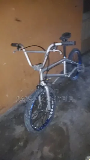 Sturdy Silver Freestyle BMX Bike (Used, Ready to Ride)