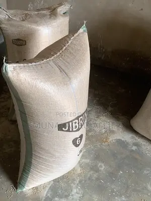 Paddy Rice