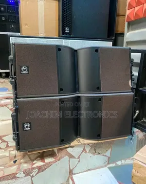 Immortal Professional 10 Inches Line Array SPK