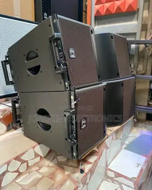 Immortal Professional 10 Inches Line Array SPK