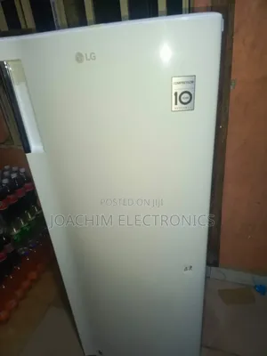 Original LG Upright Freezer Ice Block Freezer