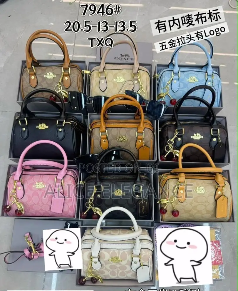 Fashion Coach Bag 