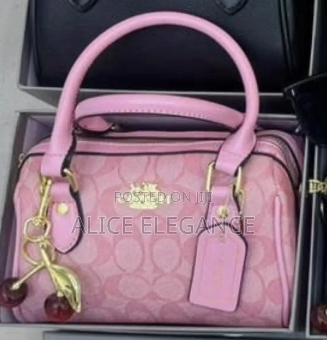 Fashion Coach Bag 