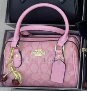 Fashion Coach Bag 