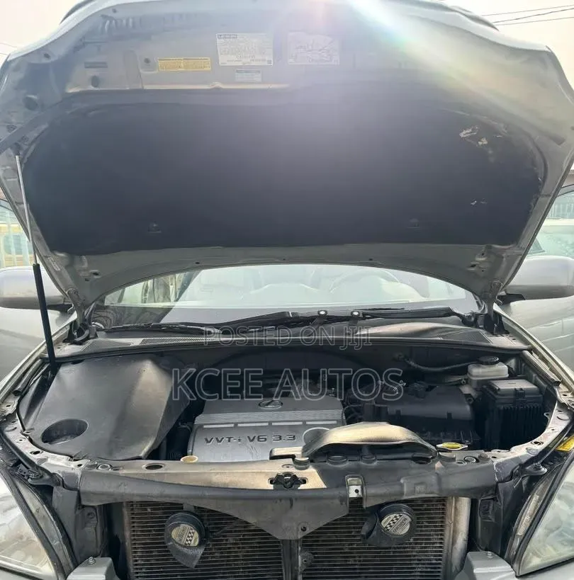 Lexus RX 330 2006 Gray
