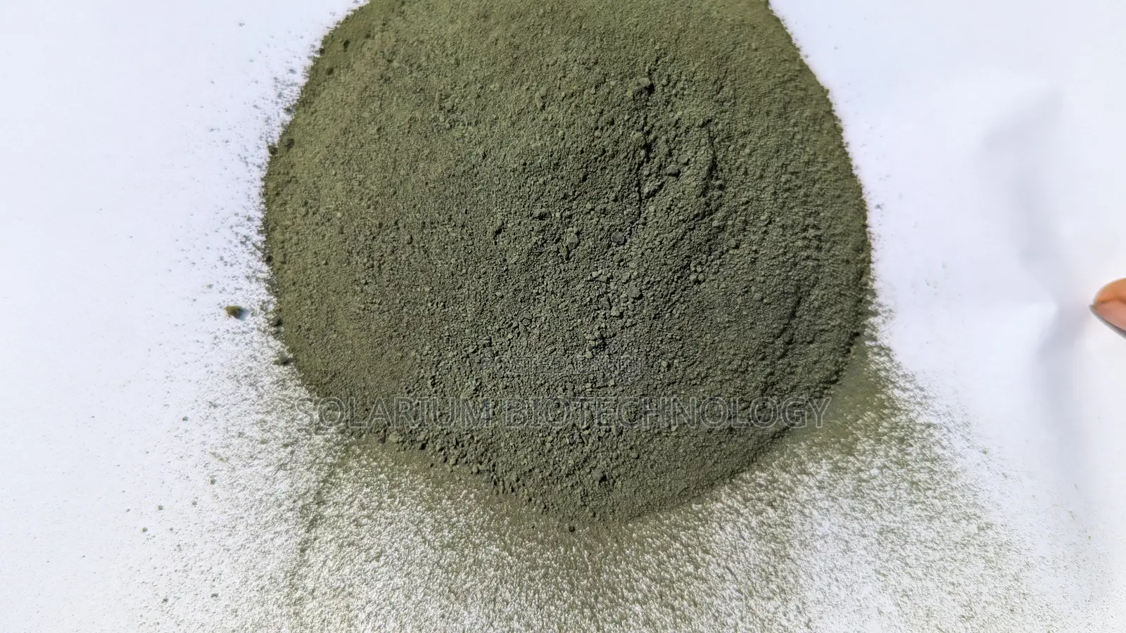The Organism. Chlorella Powder 100g