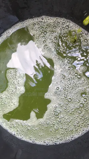 The Organism. Chlorella Powder 100g