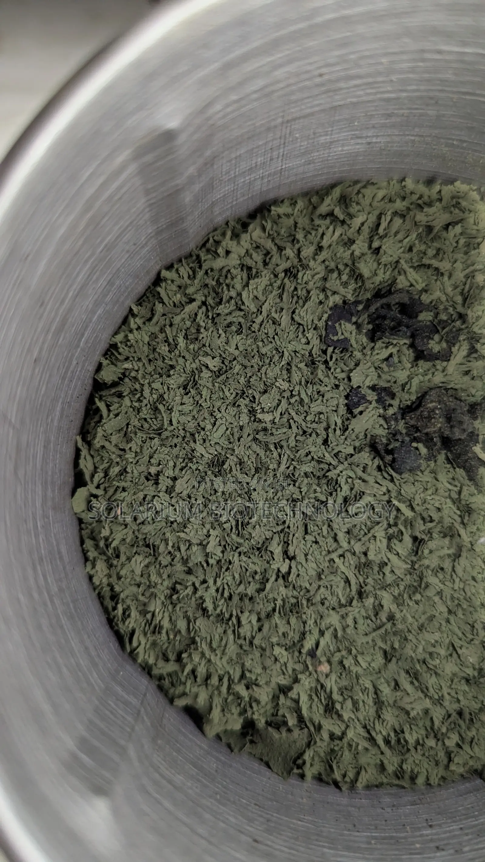 The Organism. Chlorella Powder 100g