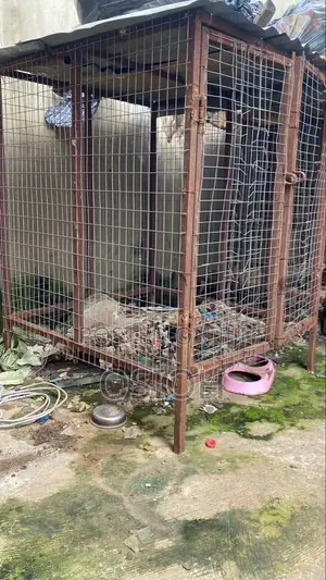 Used Dog Cage