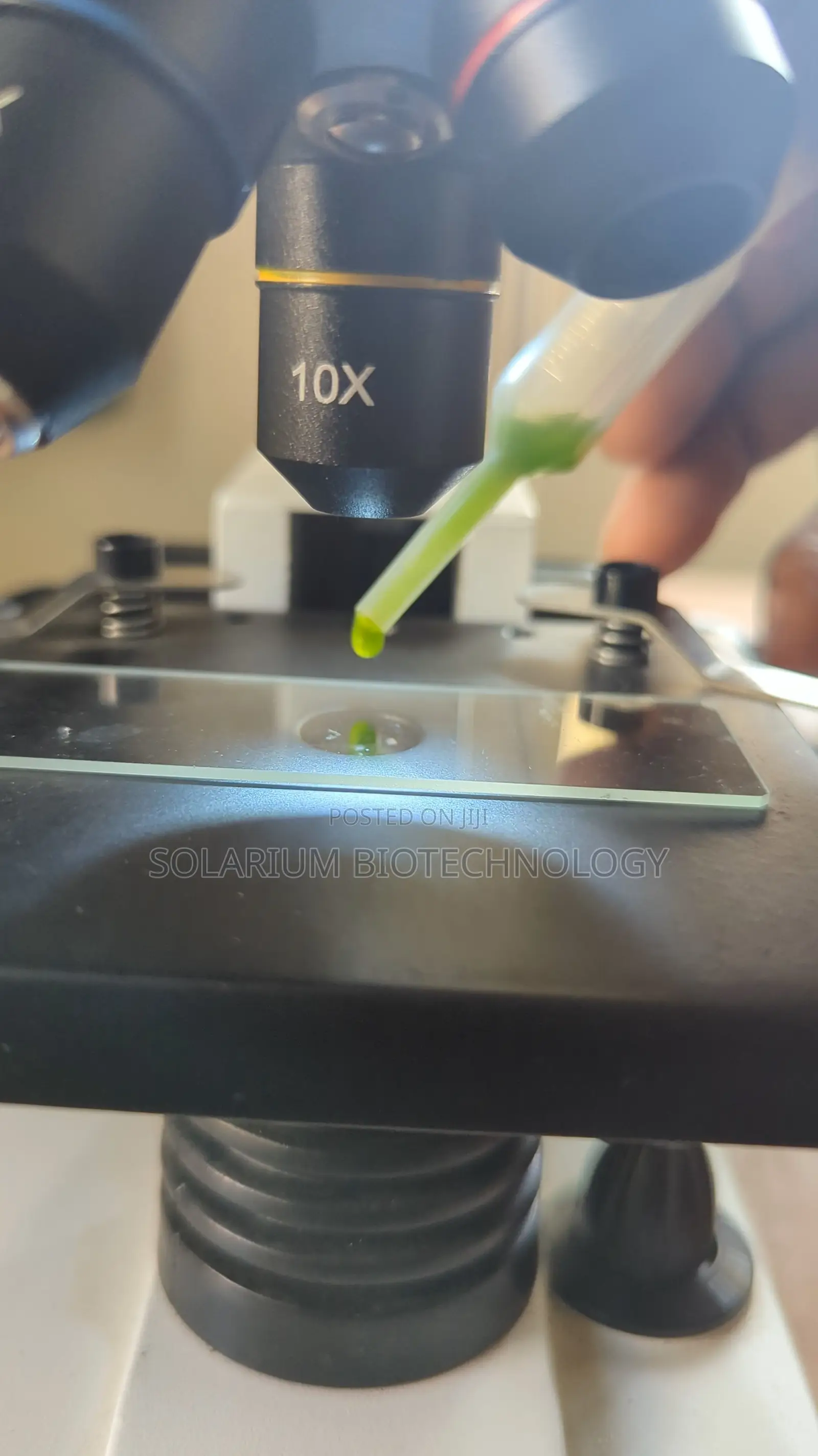 The Organism. Chlorella Powder 100g