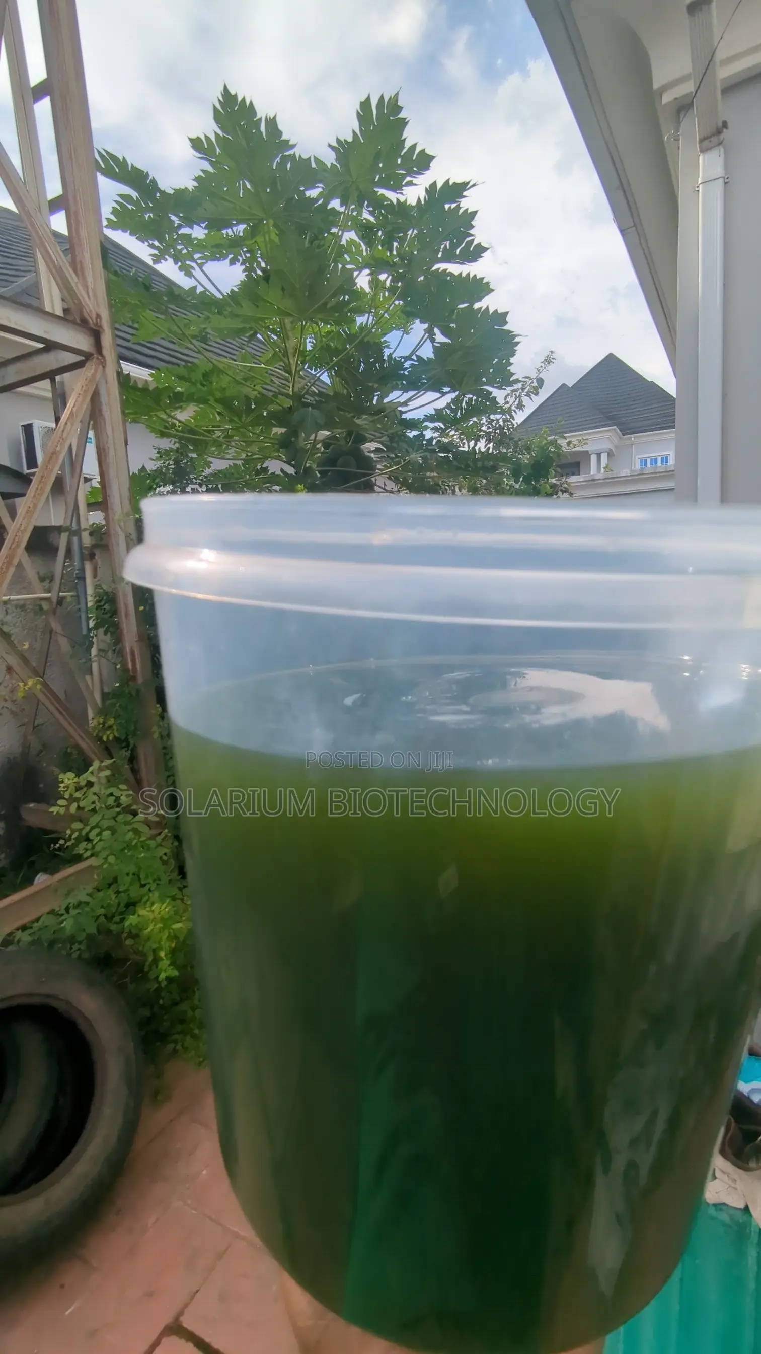 The Organism. Chlorella Powder 100g