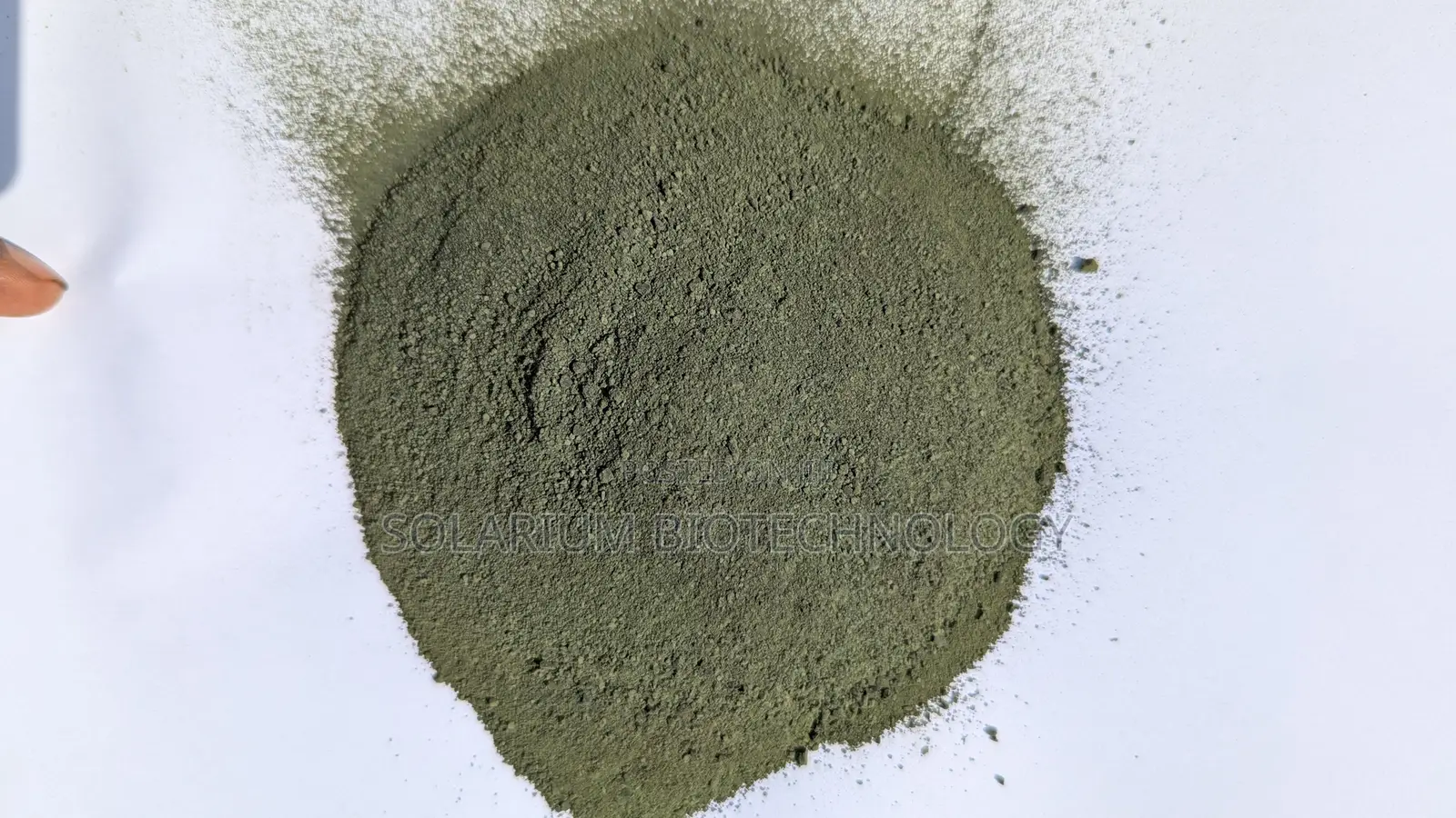 The Organism. Chlorella Powder 100g
