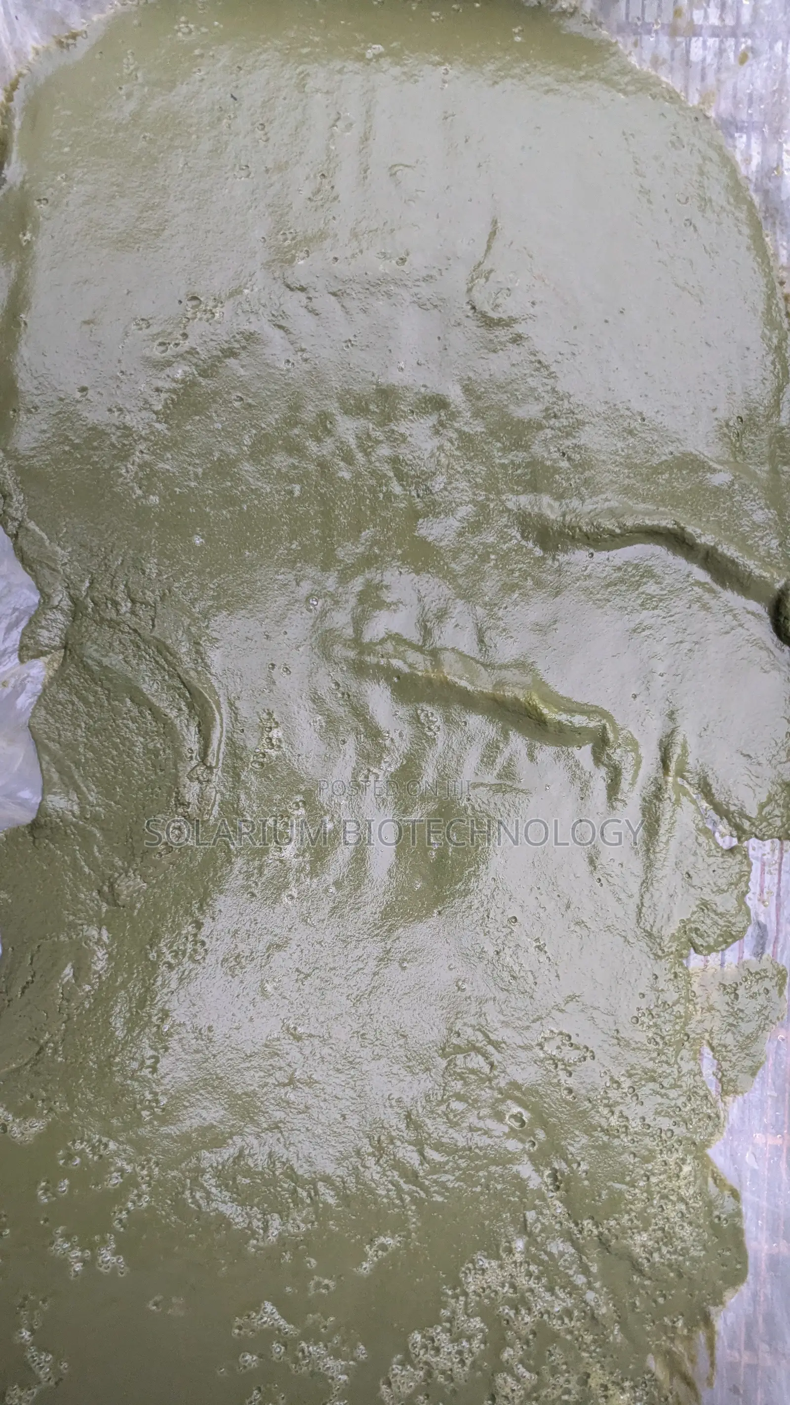 The Organism. Chlorella Powder 100g
