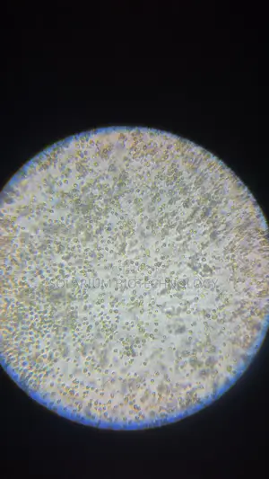 The Organism. Chlorella Powder 100g