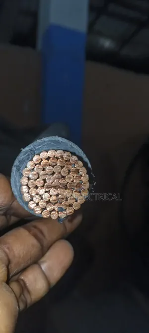 500mm Single Core PVC PVC Armoured Cable Coleman