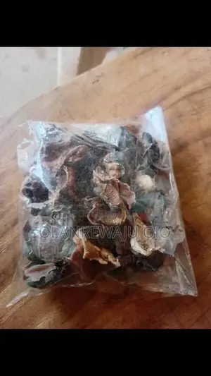 Dried Snail