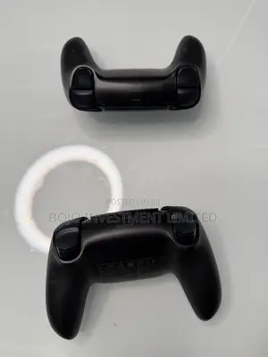 Sony PS5 Controllers