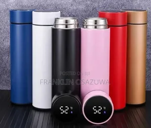 Smart LED Temperature Display Water Bottle