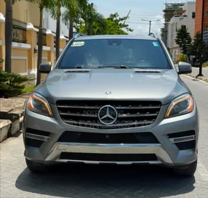 Mercedes-Benz M Class 2015 Gray