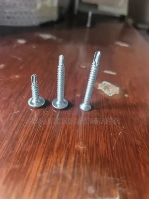 Selfdrilling Screw
