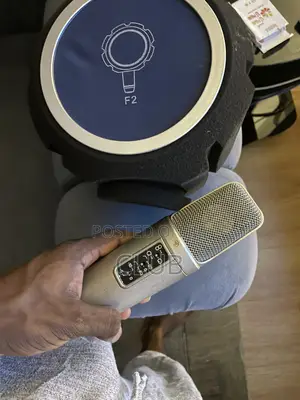 Rode Nt2-a Mic With Sound Filter
