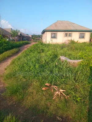 Half Plot of Land Inside Ido Town