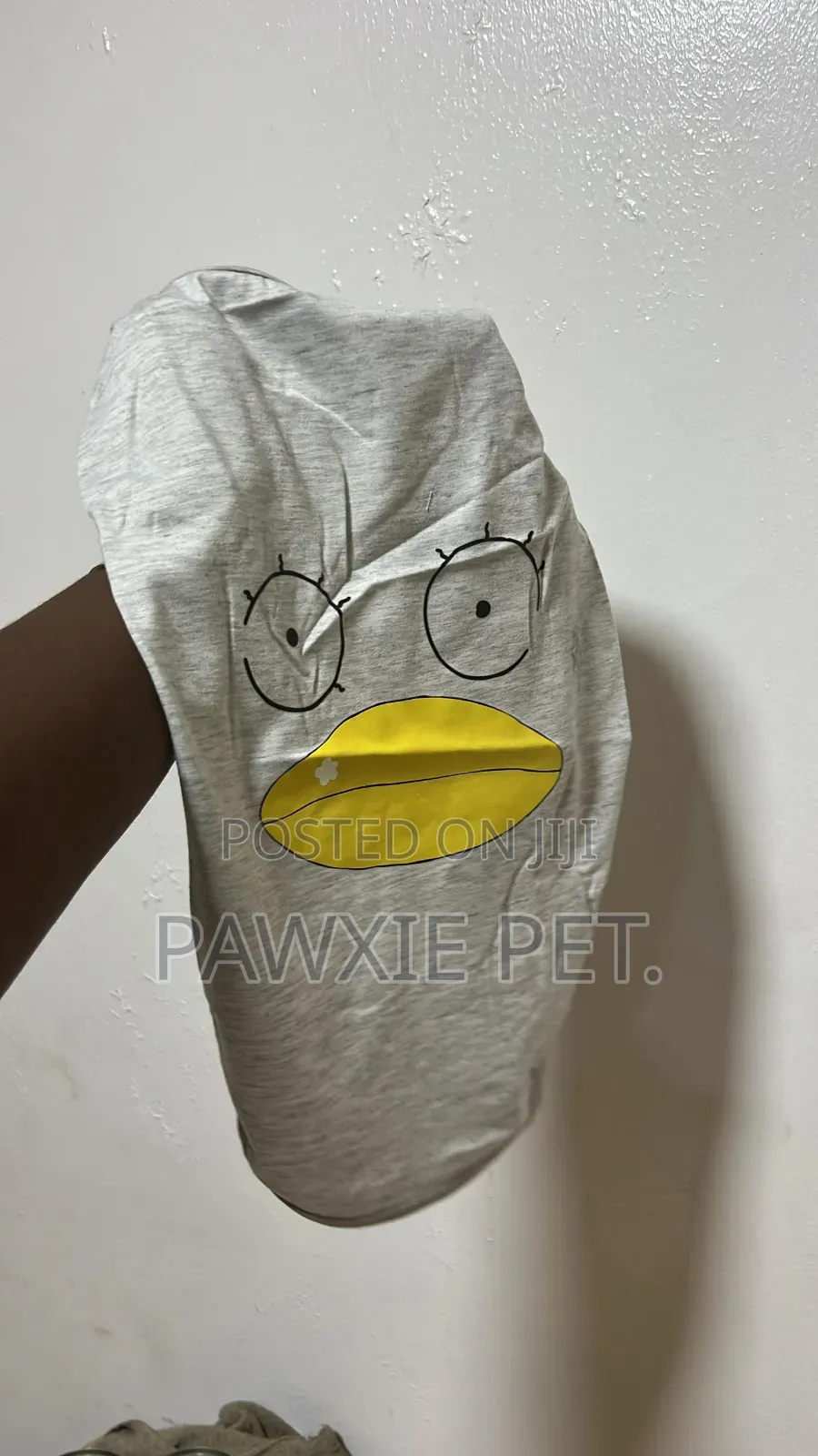 Clothes for Dogs and Cats