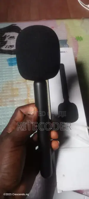External Microphone for Interview