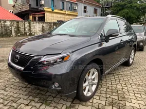 Lexus RX 2010 Gray