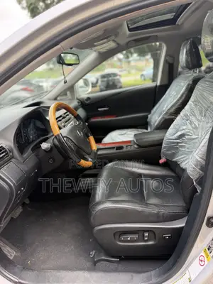 Lexus RX 350 2010 Silver