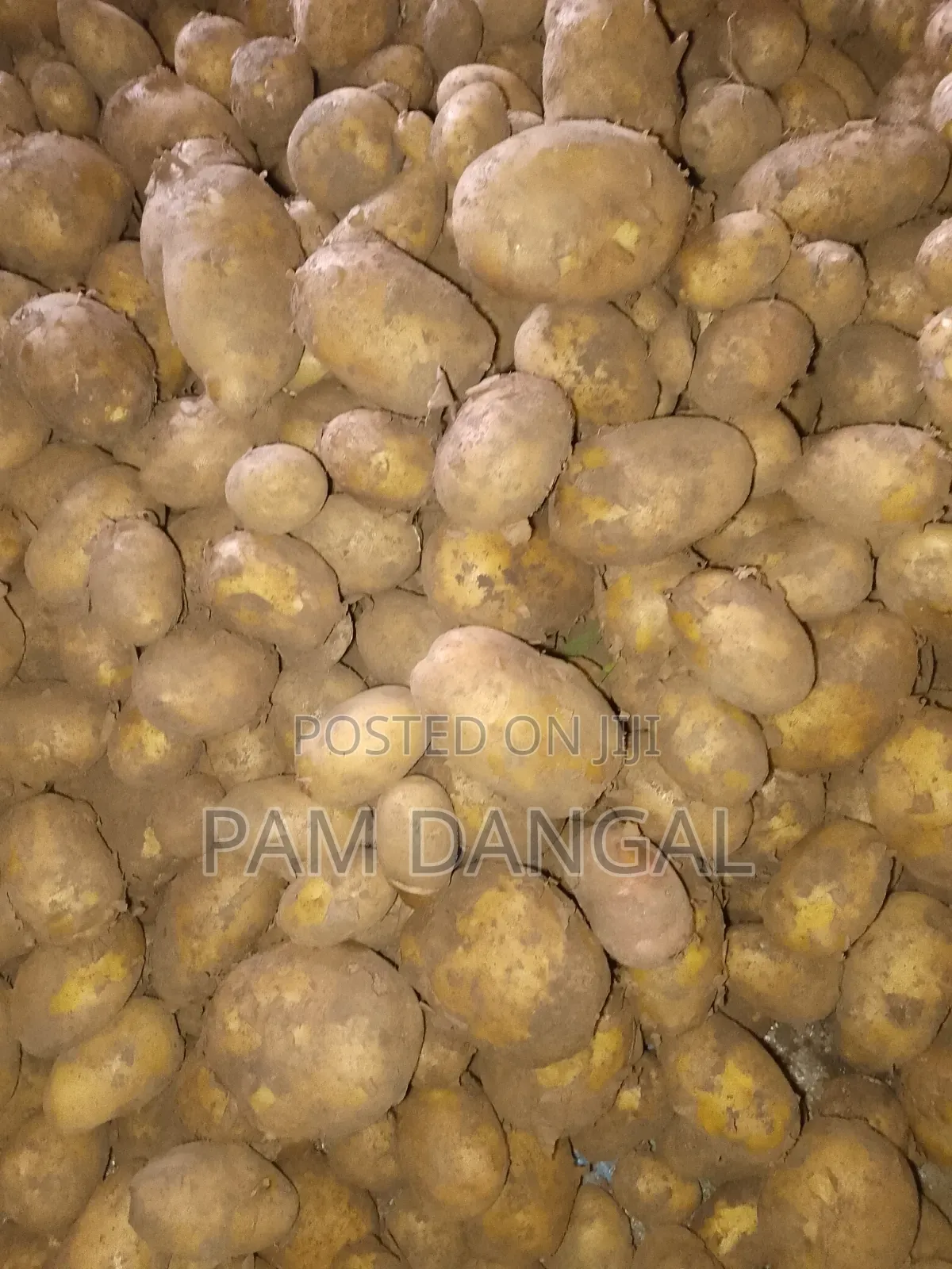 Irish Potato