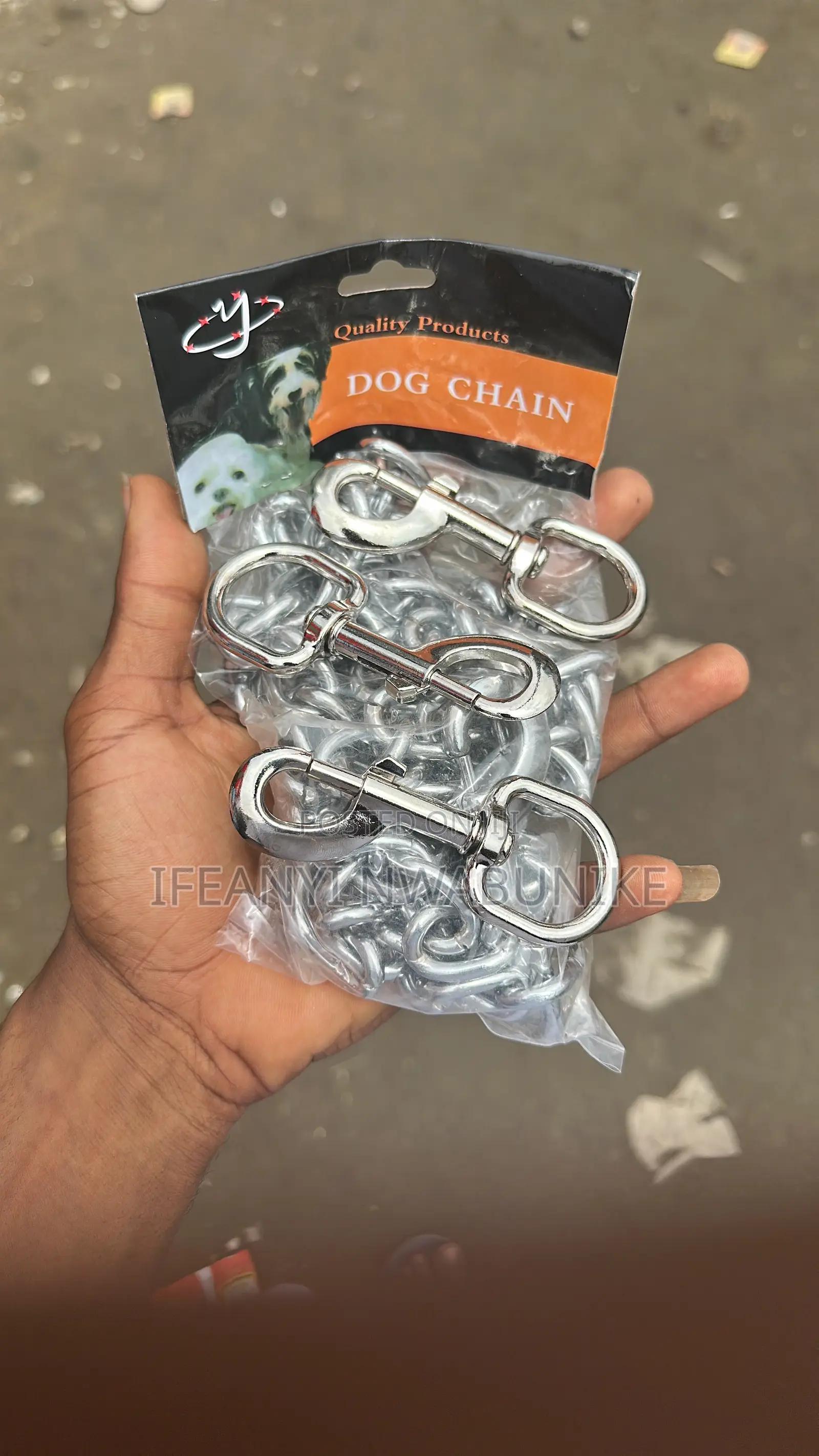 Dog Accessories