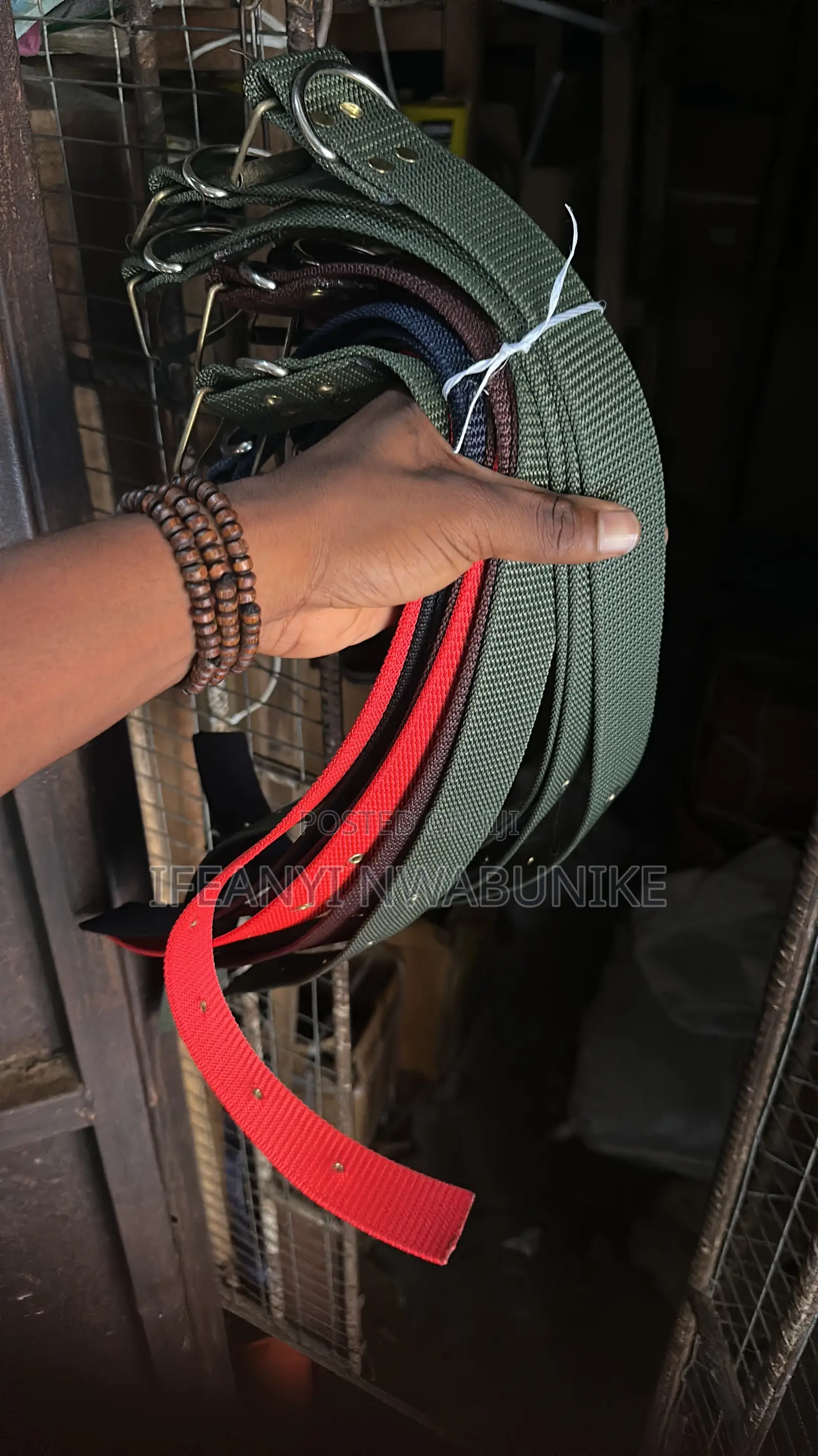 Dog Accessories