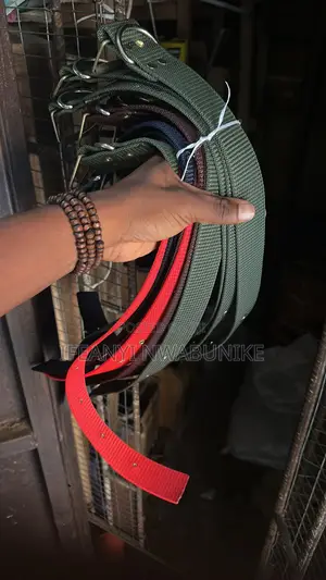 Dog Accessories