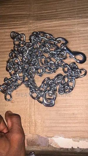 Dog Accessories