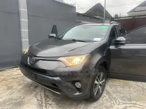Toyota RAV4 XLE AWD (2.5L 4cyl 6A) 2017 Gray