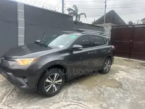 Toyota RAV4 XLE AWD (2.5L 4cyl 6A) 2017 Gray