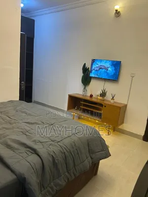 A Room in a Shared Apartment