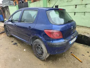 Peugeot 307 2008 Blue