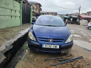 Peugeot 307 2008 Blue