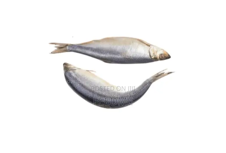 Shawa (Herring)