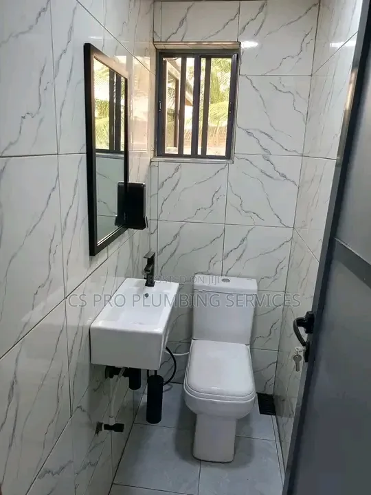 Professional Plumber 